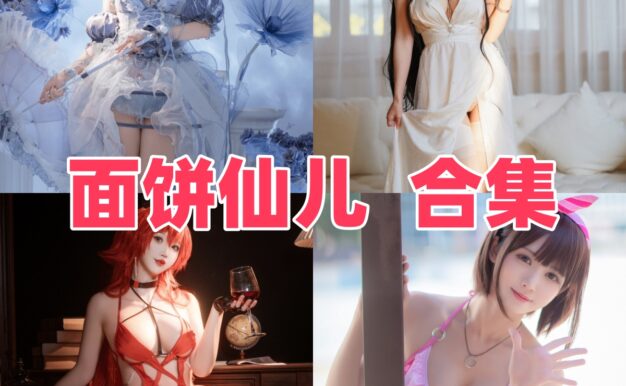面饼仙儿全目录整理：碧蓝航线、女仆与百套作品路线
