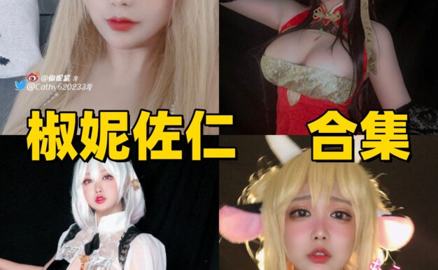 椒尼佐仁的小体量舰娘页：大凤、加贺、牛娘和天狼星