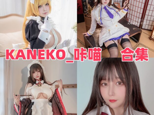 KANEKO_咔喵的角色浓度：信浓泳装、兔女郎和狐狸巫女